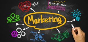 Career in Marketing